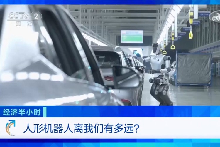 中央电视台《经济半小时》栏目对BB贝博艾弗森机器人的专题报道